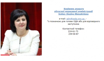 Госслужба или политика: В команде запорожского губернатора стало на одного заместителя меньше