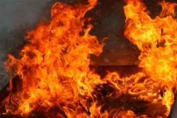 Пожар на Львовщине в дачном кооперативе: обнаружен труп неизвестной особы