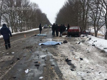 ДТП на Винничине: MAN уничтожил ВАЗ 2108 - погибло двое. ФОТО