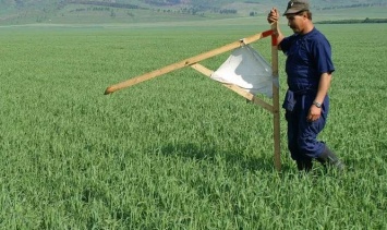 Стали известны даты передачи сельхозземель госсобственности в ОТГ Николаевской области