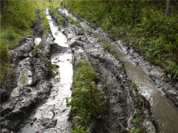 Живут в грязи: жители сел на Еланеччине намерены перекрыть дорогу