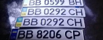 В Северодонецке студент из Рубежного за ночь украл восемь автомобильных номерных знаков