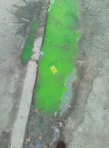 Херсонцы испугались зеленой жидкости на улицах города