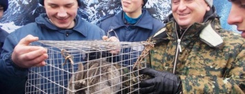 Ребятам из Кременчугской воспитательной колонии подарили живого зайчика (ФОТО)