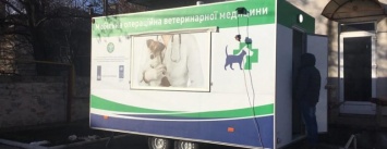В Мариуполе бездомных собак стерилизуют и заставят работать на людей (ВИДЕО+ФОТО)