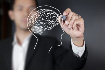 Найден новый легкий способ улучшить работу мозга и память человека