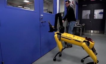 Инженеры Boston Dynamics били робособаку хоккейной клюшкой: видео