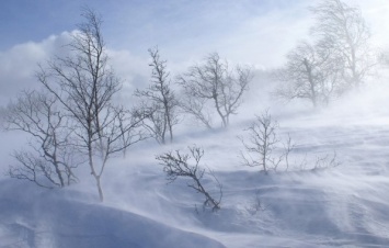 На Николаев и Николаевскую область надвигается непогода - снегопад, метель и резкое похолодание