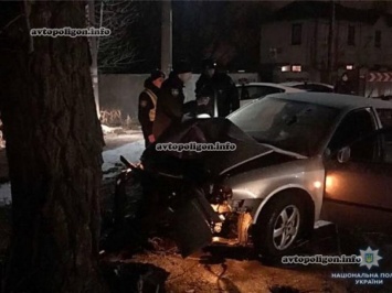 ДТП в Киеве: на ул. Садовой Skoda Octavia столкнулась с деревом - погиб водитель. ФОТО