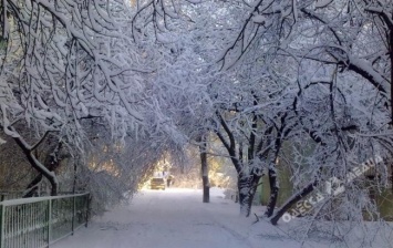 Стоп фуры и всем по лопате: как в Одессе готовятся к завтрашней метели