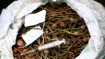 У жительницы Запорожской области изъяли 500 кило наркотиков