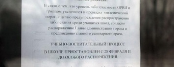 Горбольница №2 Горловки уходит в прямое подчинение Донецку, а под кабинетами педиатров - очереди по 540 человек