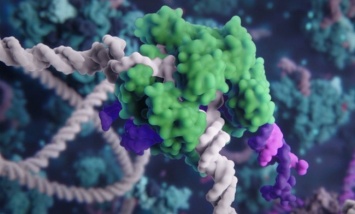 Создана 3D-анимация мощной технологии генной инженерии: видео