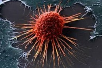 На теле человека обнаружены убийцы раковых клеток