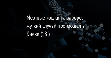 Мертвые кошки на заборе: жуткий случай произошел в Киеве (18+)