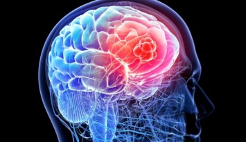 Что происходит с мозгом человека в последние минуты жизни?