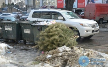 Сдались: в Одессе выбросили новогоднюю красавицу (ФОТО)