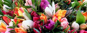 Во сколько николаевцам обойдутся цветы в преддверии 8 марта