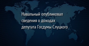 Навальный опубликовал сведения о доходах депутата Госдумы Слуцкого