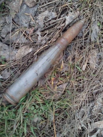 В Николаеве обнаружили боевые артиллерийские снаряды - времен Второй мировой войны и современный