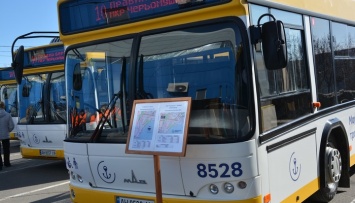В Мариуполе на маршрут вышли новые автобусы (ФОТО)