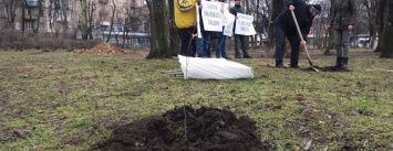 В Запорожье активисты снова провели акцию против ТЦ Кальцева: они высадили 40 деревьев, - ФОТОРЕПОРТАЖ