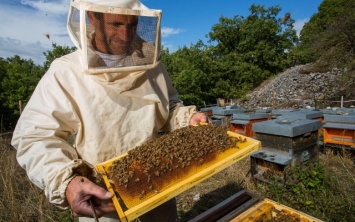 В Ивановке собрались пчеловоды Херсонщины