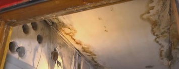 Будни северодонецкой пятиэтажки: Крыша течет, словно решето, а на стенах 10 лет грибок и плесень (видео)