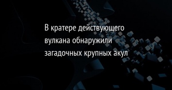 В кратере действующего вулкана обнаружили загадочных крупных акул