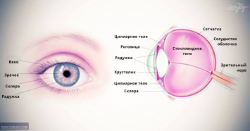 14 советов о том, как реально улучшить зрение без очков и дорогих, бездушных врачей