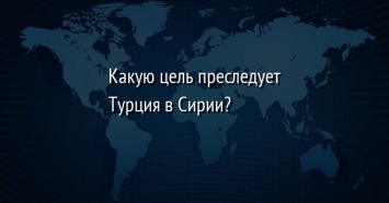 Какую цель преследует Турция в Сирии?