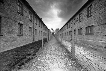 В Освенциме задержали израильтянина, осквернившего памятник жертвам нацизма