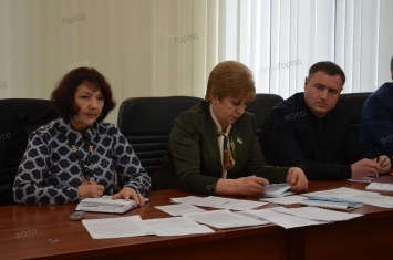 Депутаты Николаевского облсовета поспорили из-за госпитальных округов