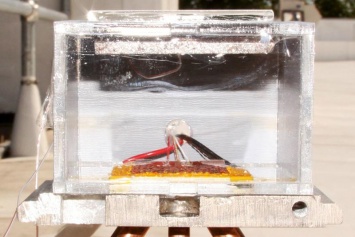 Ученые испытали прибор, который извлекает воду из сухого воздуха