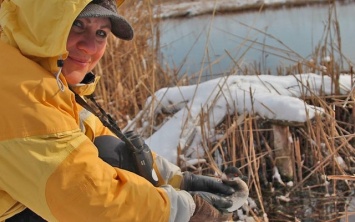 В Одесской области спасли удивительную птицу (ФОТО)