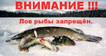 С 1 апреля в "ЛНР" запретят ловить рыбу: список "разрешенных мест" и реакция местных жителей