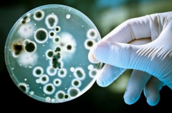 Наши бактерии могут быть нашими хозяевами, а не наоборот