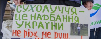 Экологический пикет в Киеве: как активисты посреди улицы дрова рубили