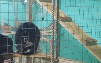 В зоопарке персонал оставляет животных без воды из-за лени (ФОТО)