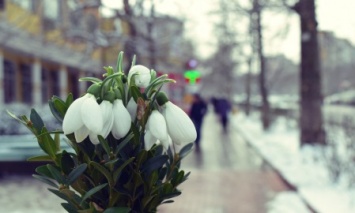 «Зима, до свидания!»: в Черноморск идет потепление