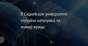 В Сиднейском университете случайно наткнулись на мумию жрицы