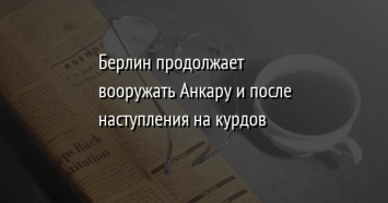 Берлин продолжает вооружать Анкару и после наступления на курдов