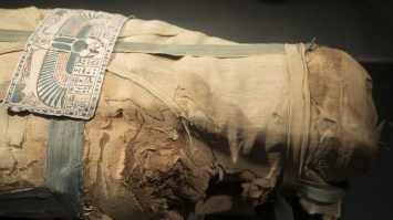 В Австралии случайно нашли древнюю египетскую мумию