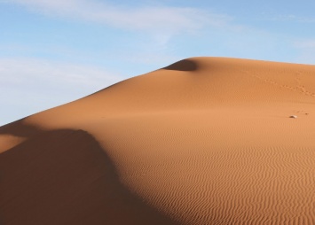 За последнее столетие площадь Сахары увеличилась на 700 тысяч квадратных километров