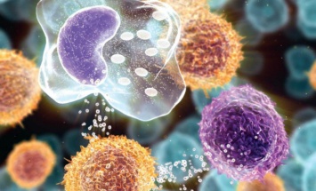 Ученые создали наноматериалы для доставки лекарств внутрь клетки