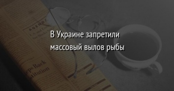 В Украине запретили массовый вылов рыбы