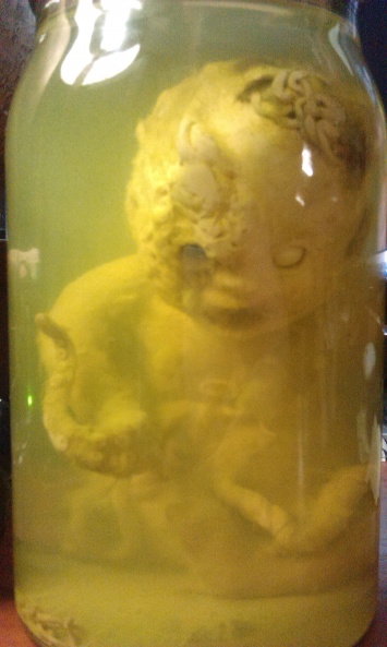 Одессит обзавелся уникальным экспонатом «младенца-осьминога»