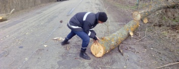 На Николаещине спасатели ликвидировали обломки деревьев на трассах, - ФОТО