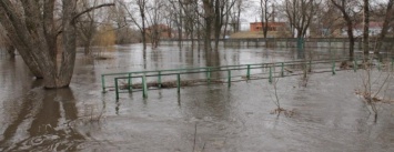 Стрижень парализовал движение транспорта в на ул. Киевской