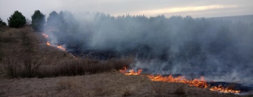 На Николаевщине 6 раз за сутки тушили пожар травы и камыша, - ФОТО